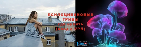 винт Армянск