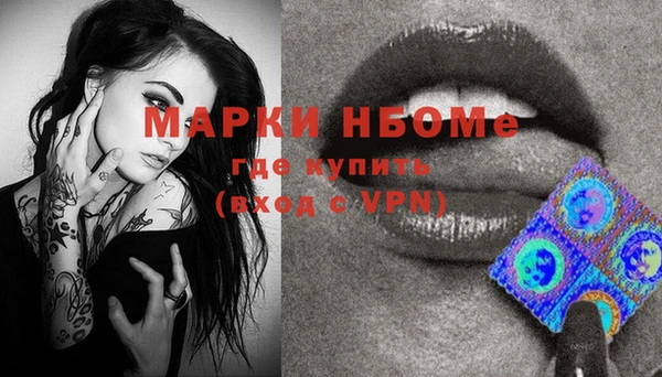 стафф Алзамай